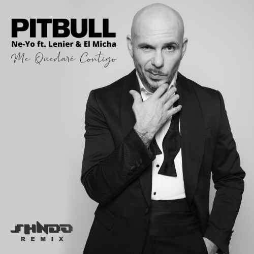 دانلود آهنگ Pitbull Me Quedare Contigo (Shndo Remix)