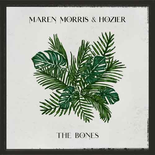 دانلود آهنگ The bones از Maren morris